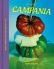 Campania: Recepies and wandering