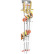 Shish kebab spyd sværd, 32 cm, 3-pak - Westmark Shish kebab spyd sværd, 32 cm, 3-pak - Westmark