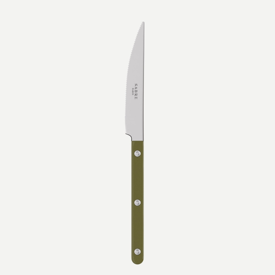 Madkniv, Bistrot, Green fern - Sabre Paris i gruppen Borddækning / Bestik / Knivar hos The Kitchen Lab (2195-32456)