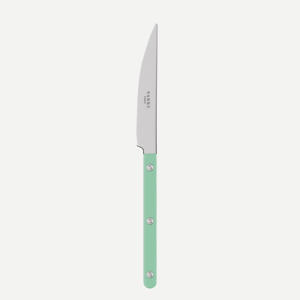 Madkniv, Bistrot, Pastel green - Sabre Paris i gruppen Borddækning / Bestik / Knivar hos The Kitchen Lab (2195-32460)