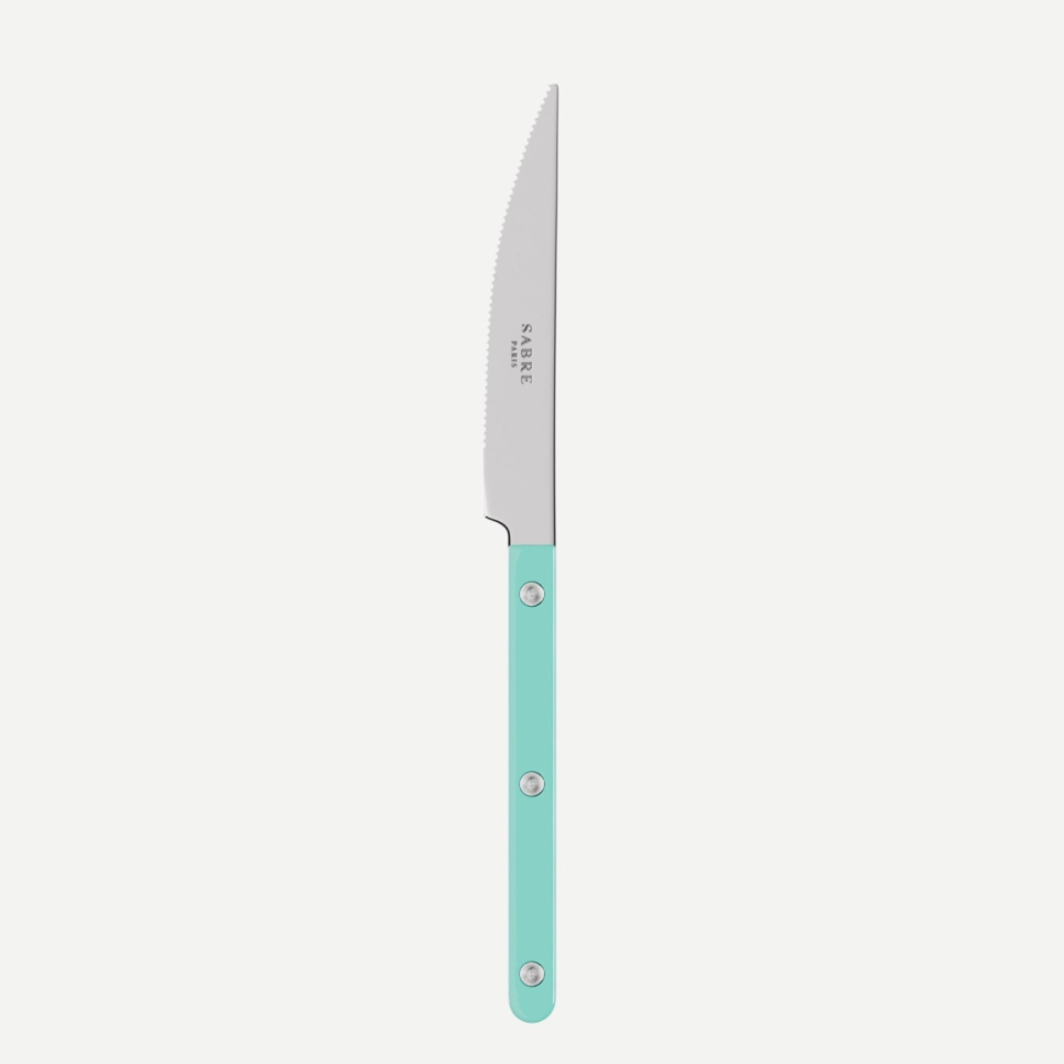 Madkniv, Bistrot, Turquoise - Sabre Paris i gruppen Borddækning / Bestik / Knivar hos The Kitchen Lab (2195-32463)