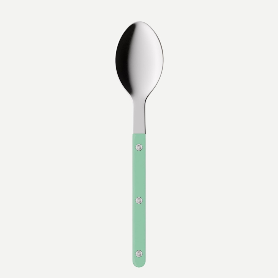 En spiseskefuld, Bistrot, Pastel green - Sabre Paris i gruppen Borddækning / Bestik / skeer hos The Kitchen Lab (2195-32474)