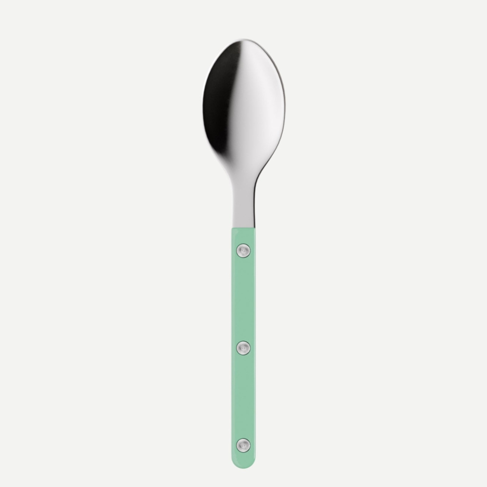 Teskefuld, Bistrot, Pastel green - Sabre Paris i gruppen Borddækning / Bestik / skeer hos The Kitchen Lab (2195-32610)