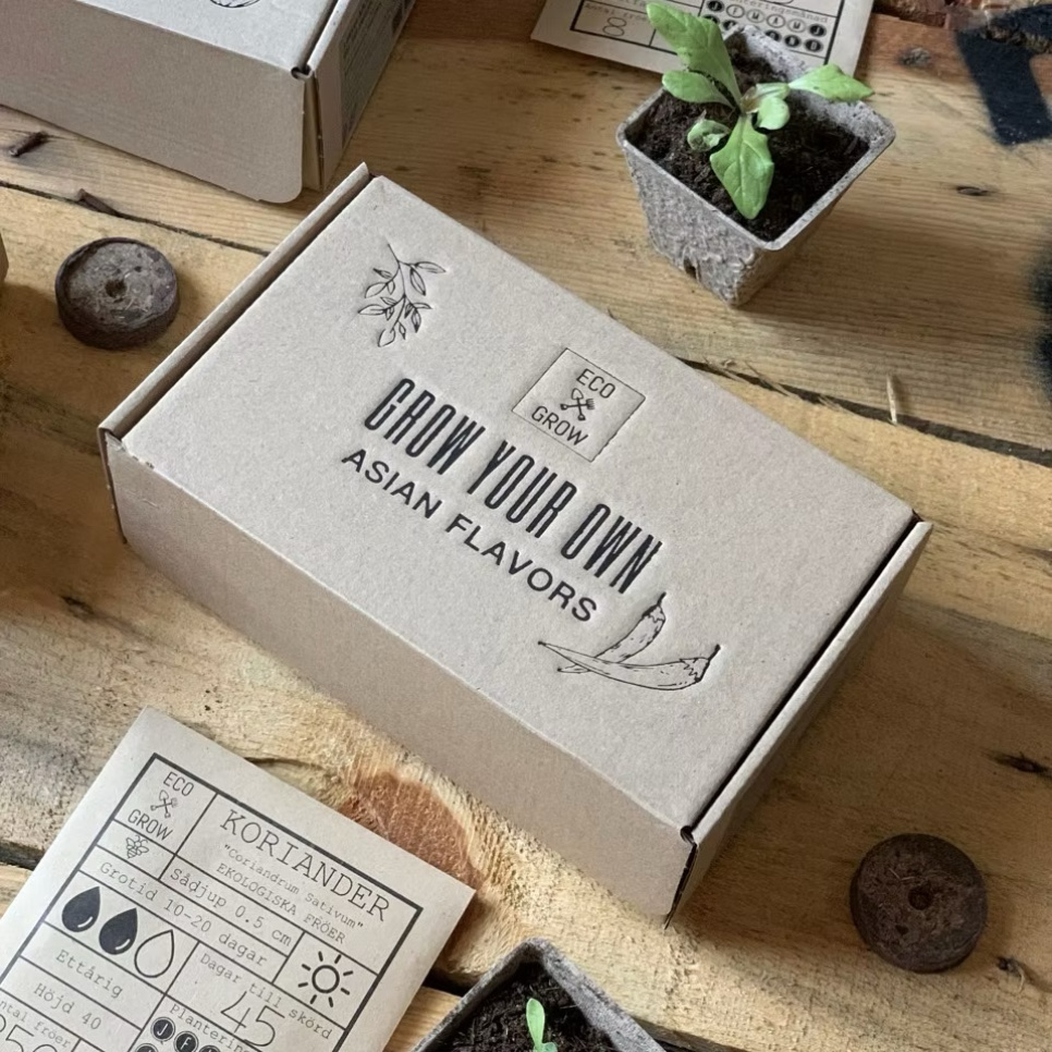 Dyrkningssæt, asiatiske smagsvarianter (4 stk.) - Eco Grow