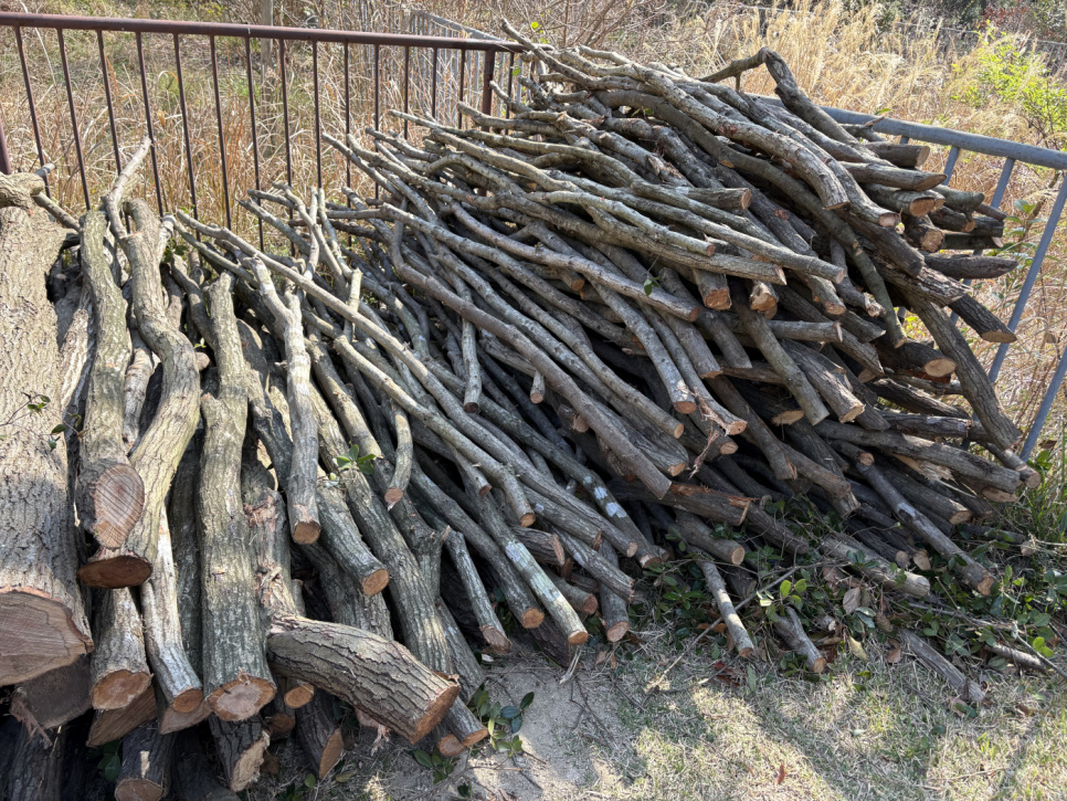 Trækul, Kishu-Binchotan af Ubamegashi eg, ca. 1 kg - Kisyu Sumikobo