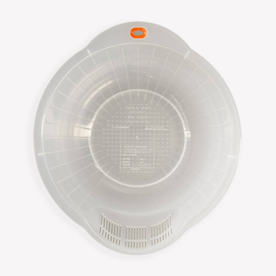 Japansk risskål i plast