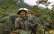 Sichuanpeber, QingXi, 15 g - The Pepper Quest