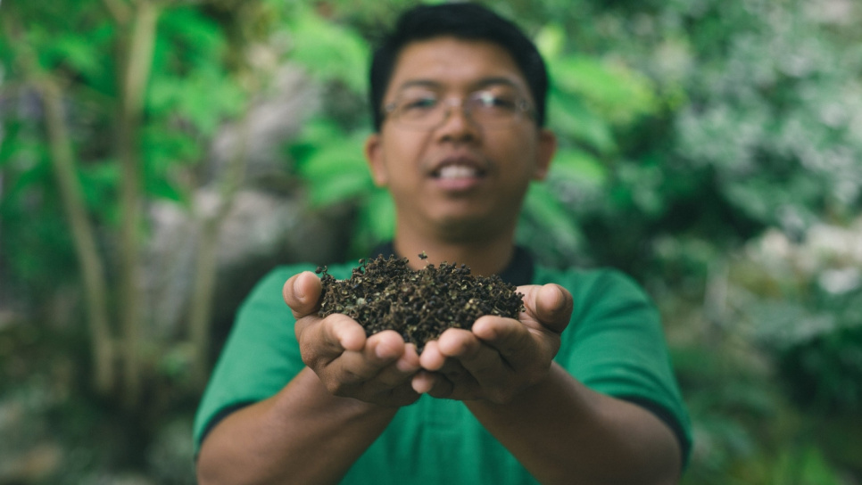 Peber, Andaliman, Batak, 15 g - The Pepper Quest