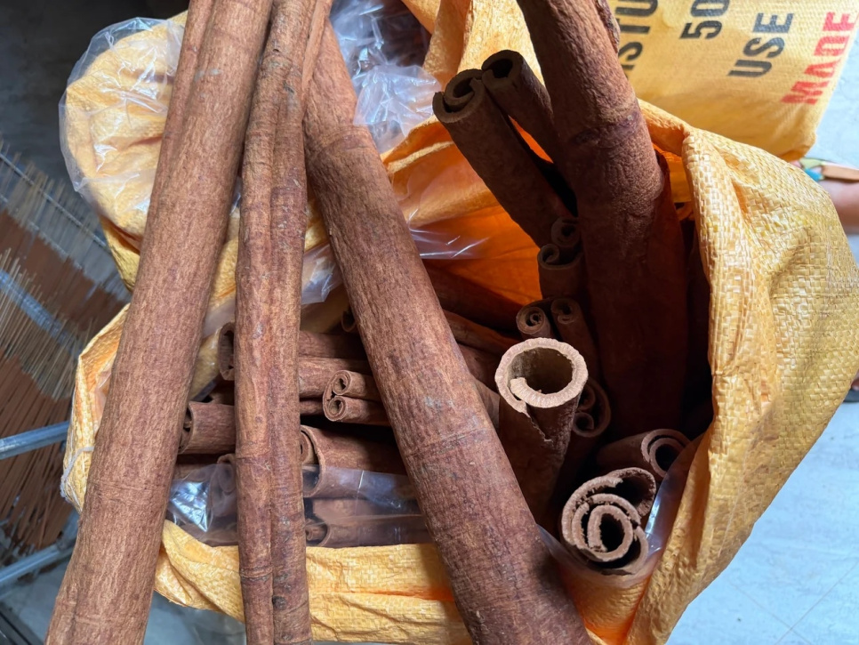 Kanelstænger, Quảng Nam, 50 g - The Pepper Quest