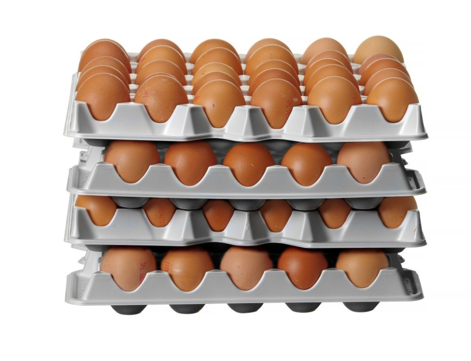 Plastik æggebakke, 4-pak - Hendi