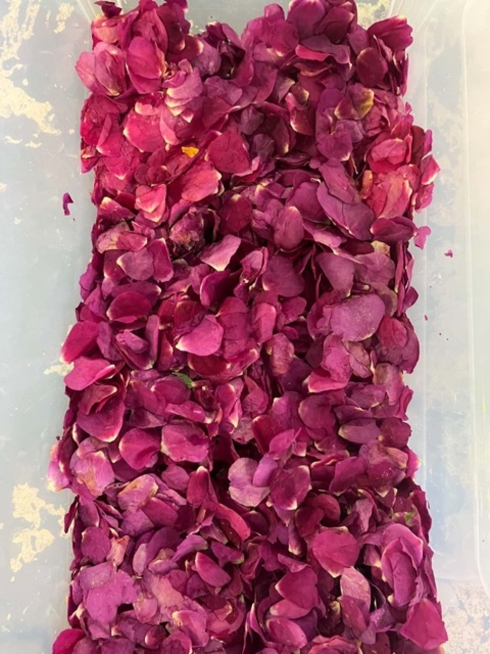 Rynket rose-eddike, 145 ml - Surgubben